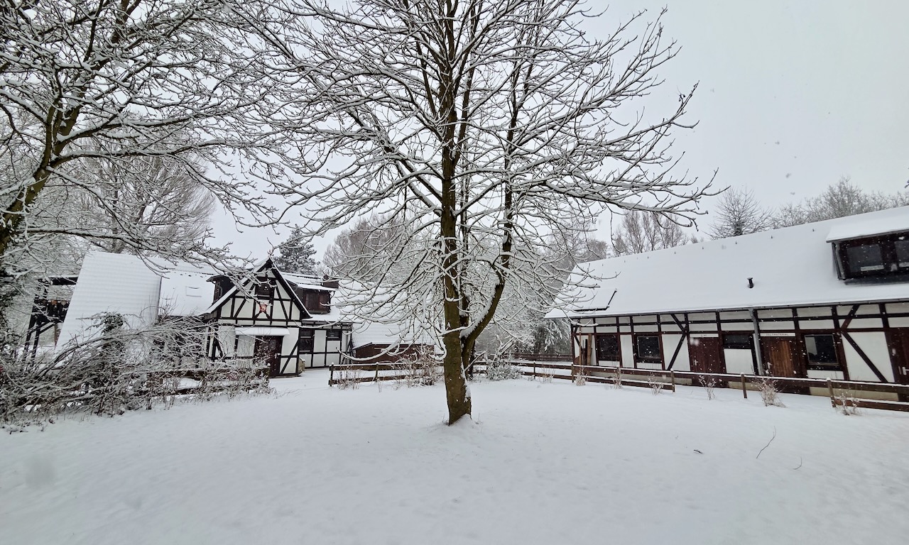 Blick auf Adlerhaus und Schuppen im Winter